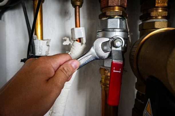 Best Clogged Drain Plumber  in Walthourville, GA